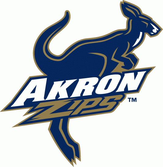 Akron Zips 2002-Pres Alternate Logo t shirts DIY iron ons v2